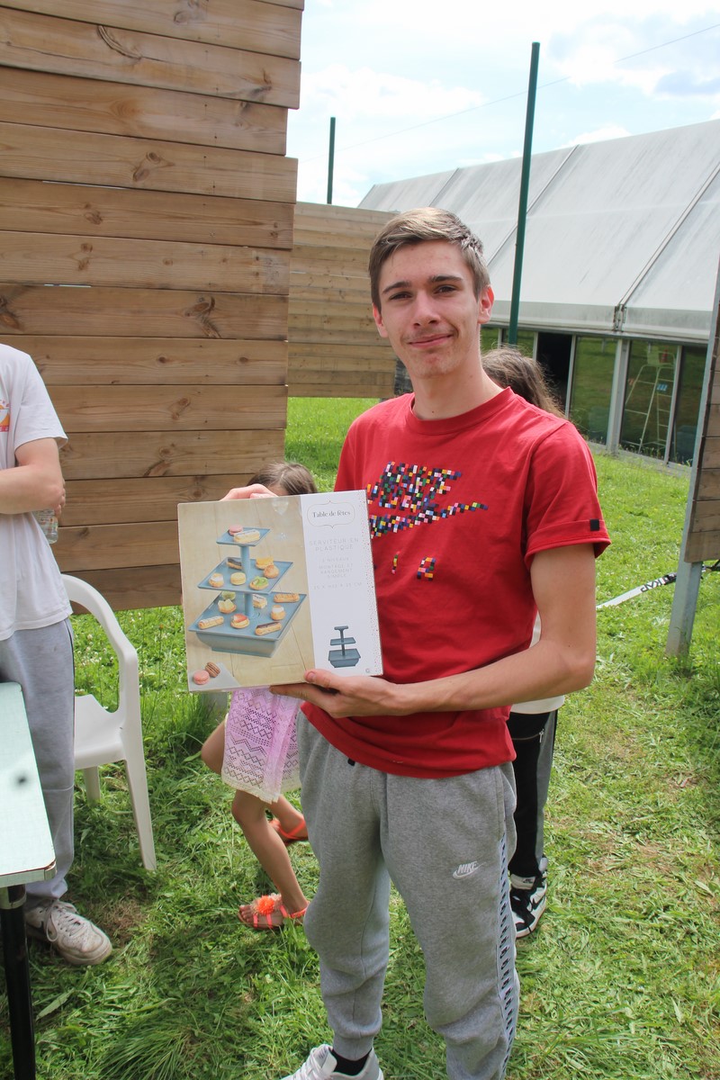 Owl Image