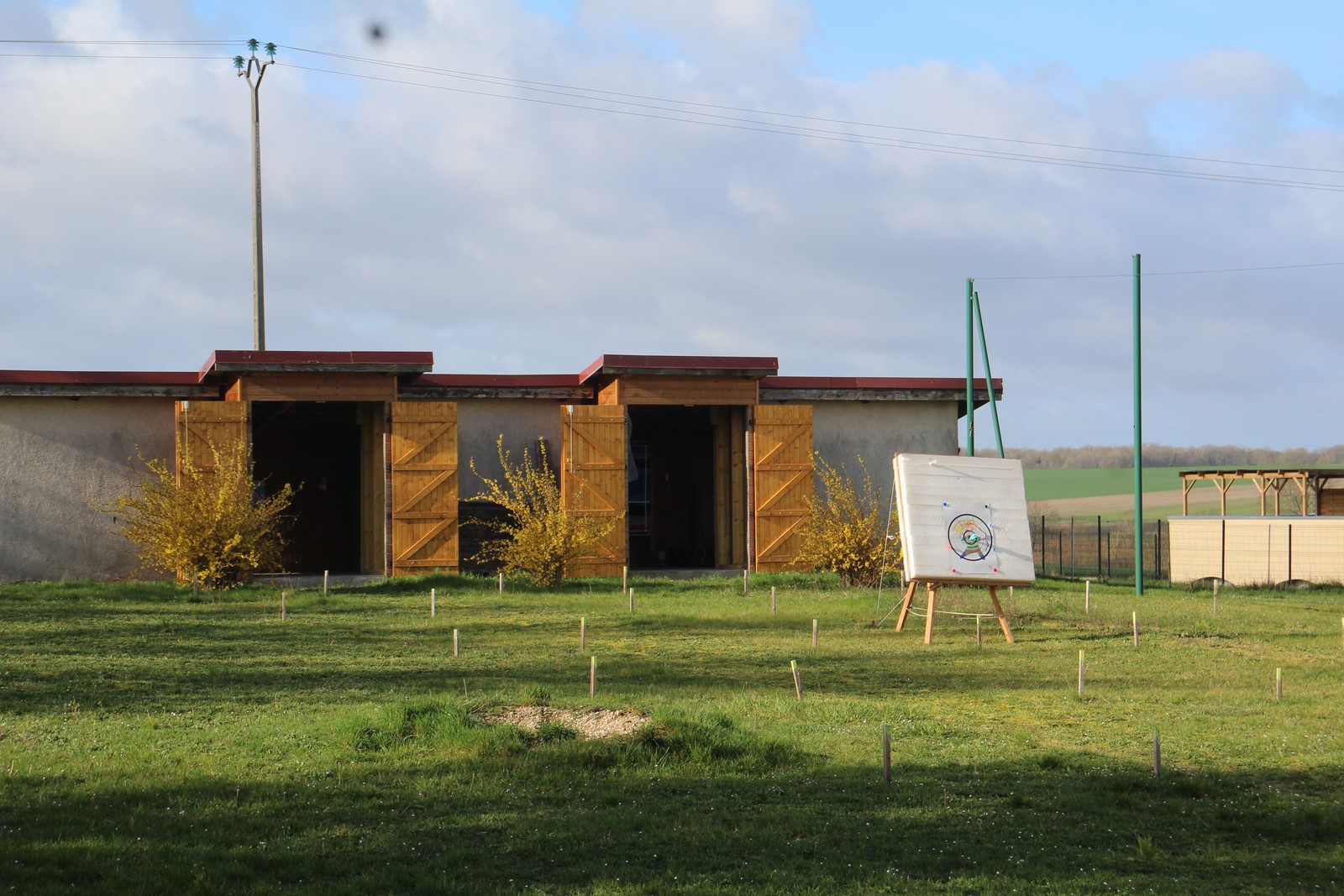 Owl Image