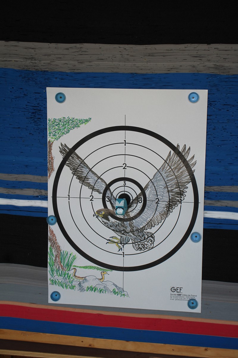 Owl Image